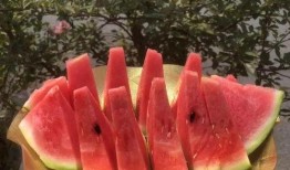 小嘉娱乐吃瓜,揭秘娱乐圈最新吃瓜事件，带你领略明星幕后故事