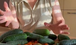 娱乐吃瓜酱植物人,揭秘娱乐界的“吃瓜酱”传奇