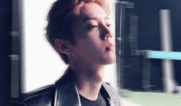 吃瓜娱乐圈鹿晗是谁啊